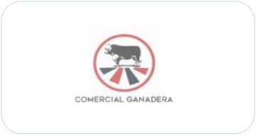 Cliente Dragon Signs